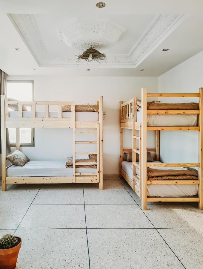 Cactus Surf House Hostel Tamraght Ngoại thất bức ảnh
