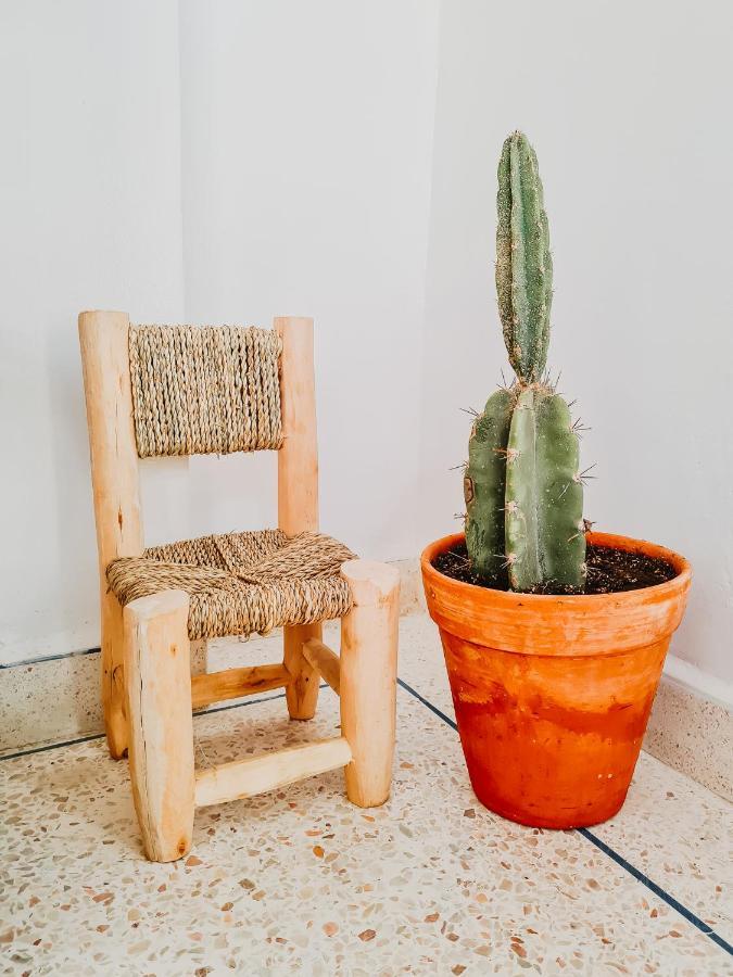 Cactus Surf House Hostel Tamraght Ngoại thất bức ảnh