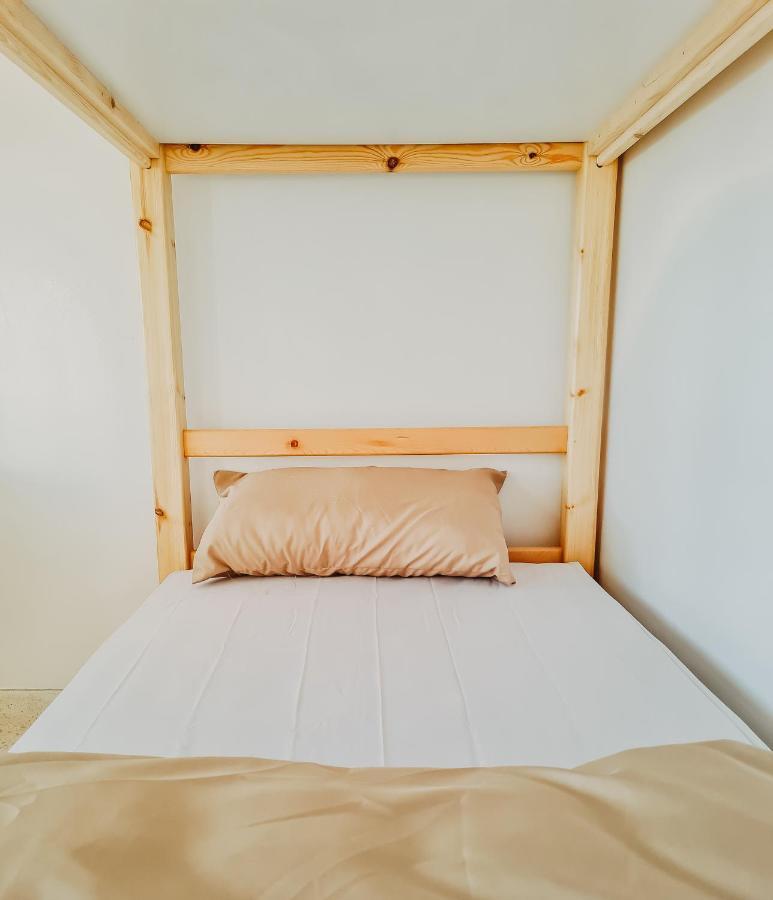 Cactus Surf House Hostel Tamraght Ngoại thất bức ảnh